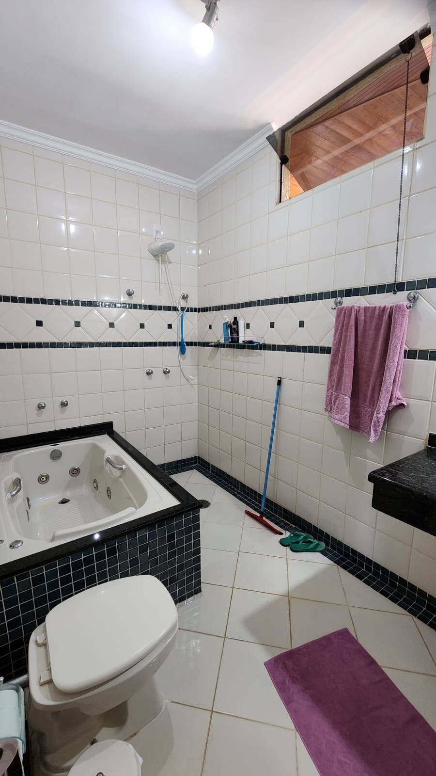 Casa, 4 quartos, 220 m² - Foto 16