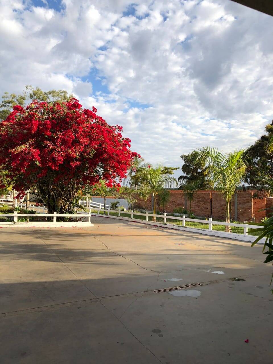 Chácara à venda com 5 quartos, 425m² - Foto 8
