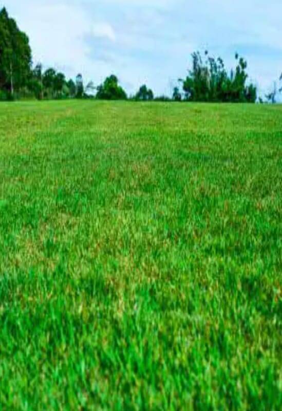 Terreno, 470 m² - Foto 1