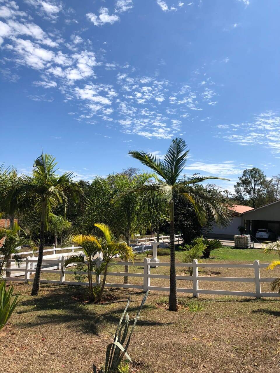 Casa, 5 quartos, 425 m² - Foto 10