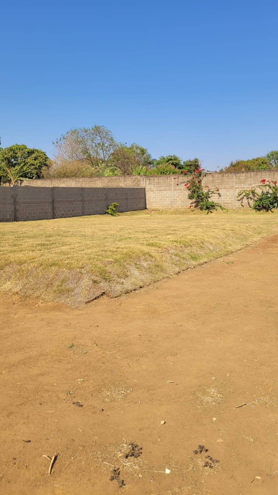 Chácara à venda com 1 quarto, 300m² - Foto 7