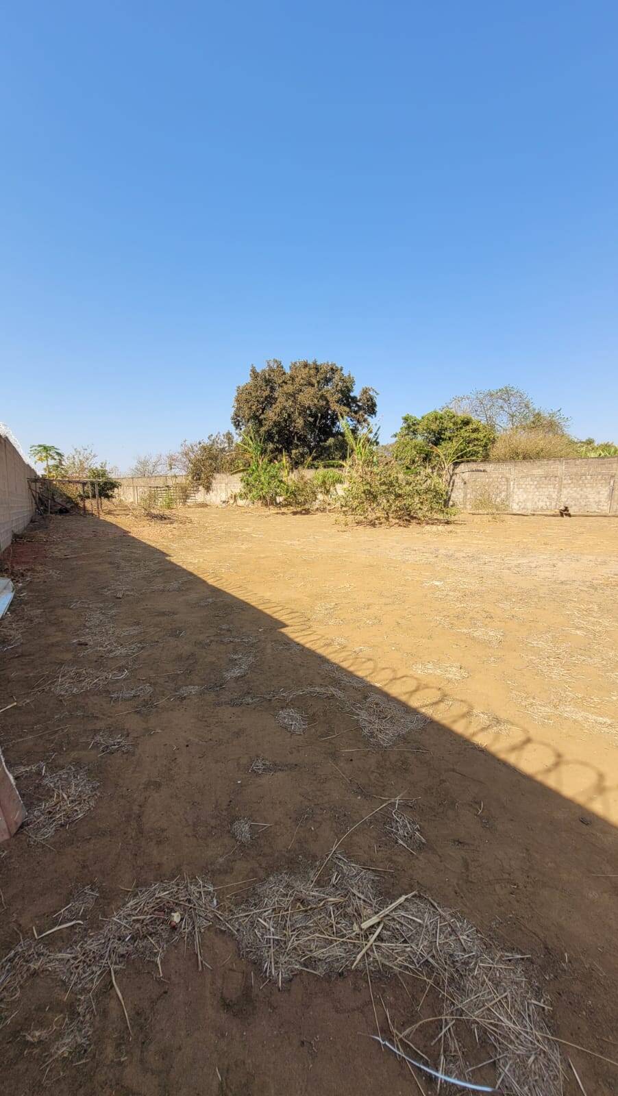 Chácara à venda com 1 quarto, 300m² - Foto 13