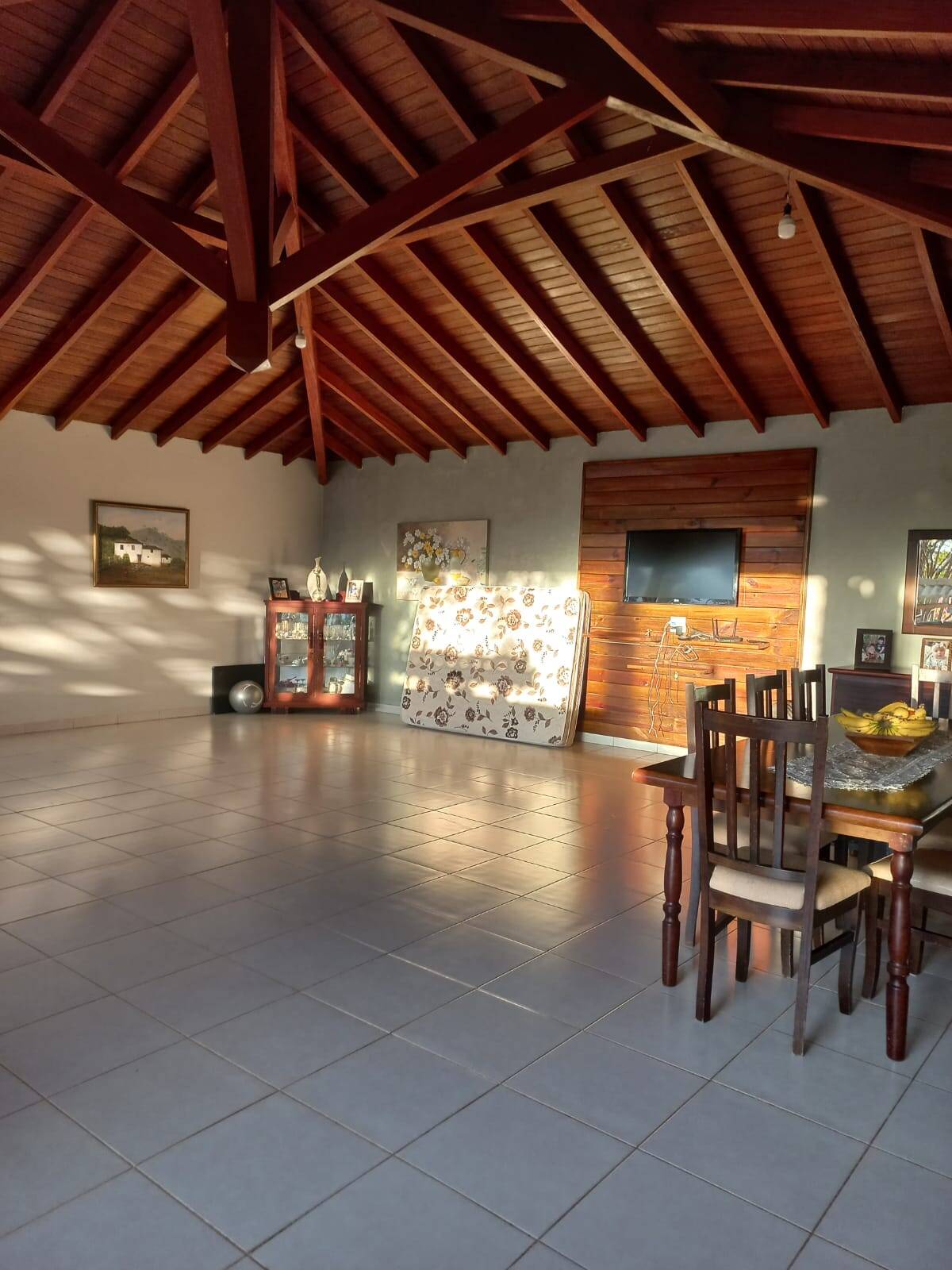 Chácara à venda com 4 quartos, 5000m² - Foto 4