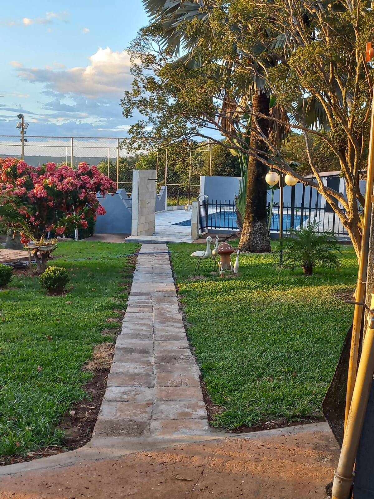 Chácara à venda com 4 quartos, 5000m² - Foto 6
