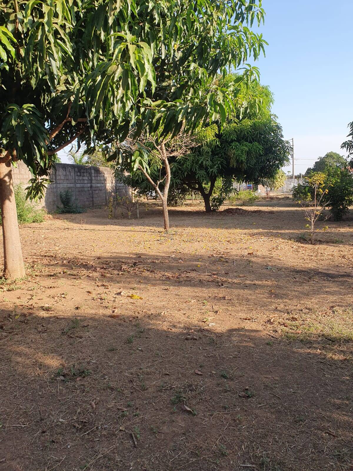 Chácara à venda com 2 quartos, 2780m² - Foto 7