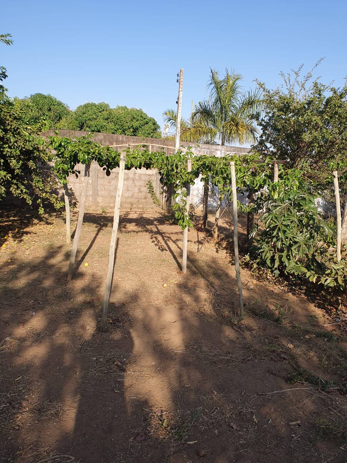 Chácara à venda com 2 quartos, 2780m² - Foto 1