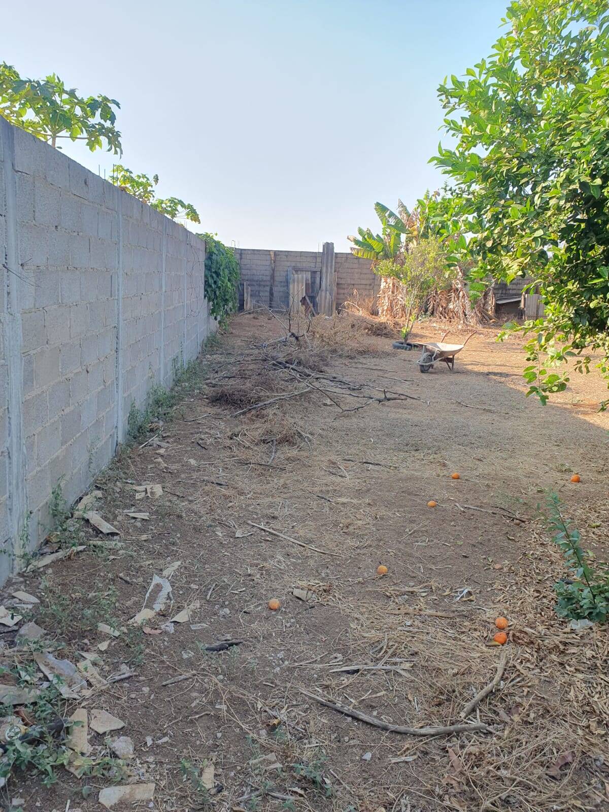 Chácara à venda com 2 quartos, 2780m² - Foto 16