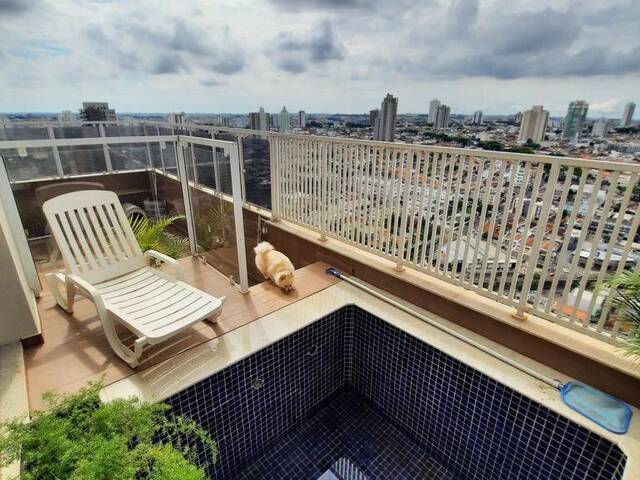 #372 - Apartamento para Venda em Franca - SP