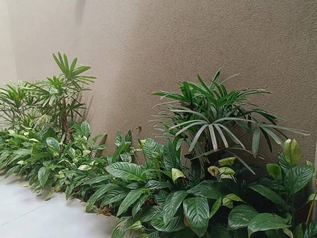 Casa para Venda em Franca - 2